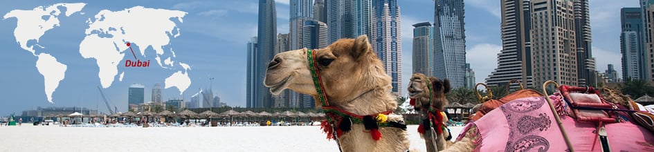 Dubai Visitor Information