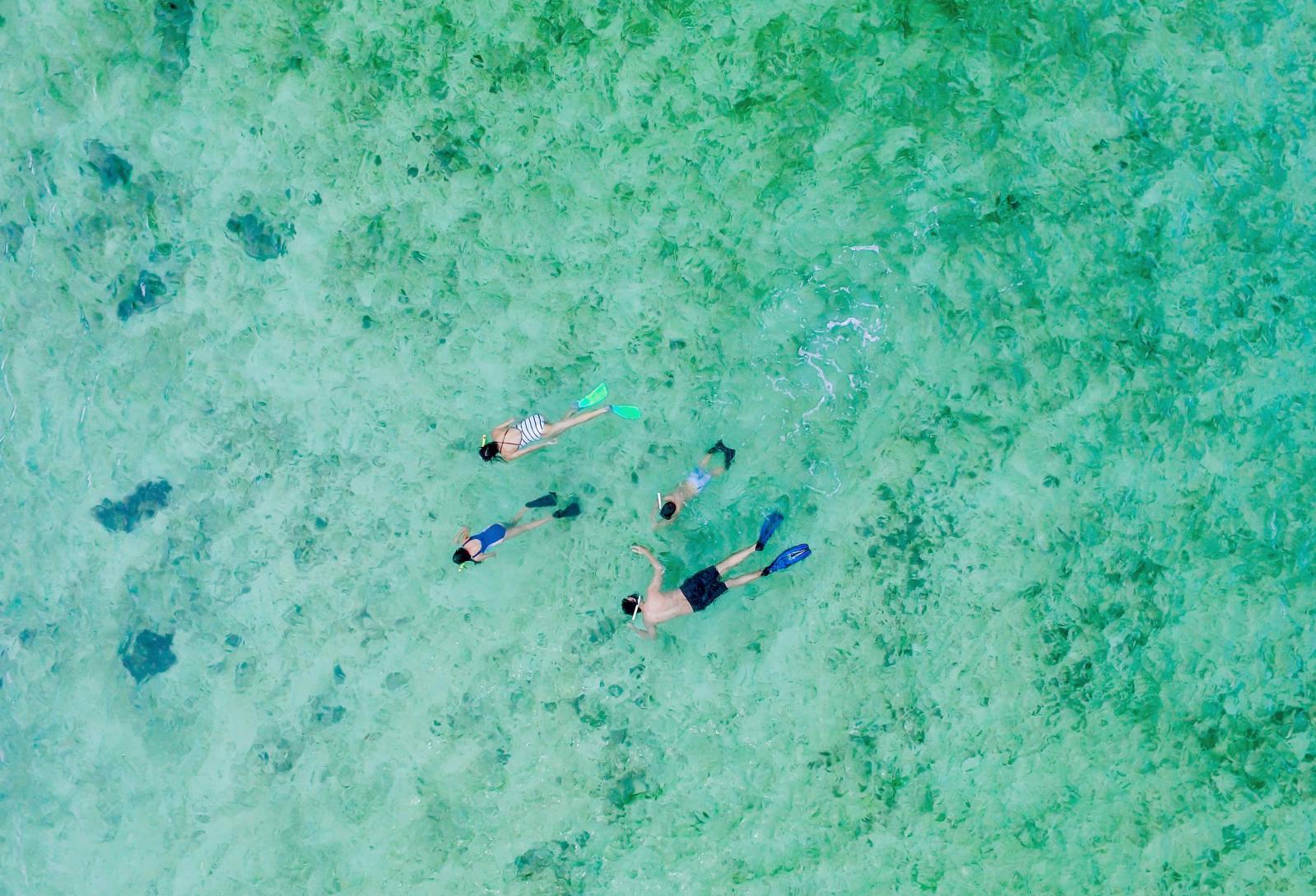Snorkelling