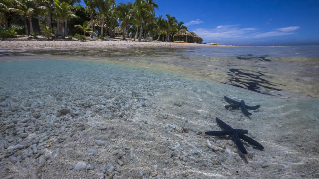 Christmas in Fiji