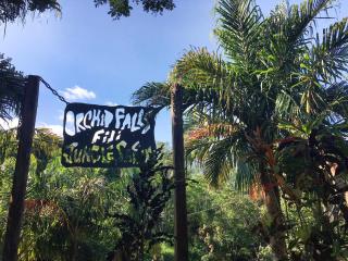 Nadi Adventure Zipline & Mud Pool Tour