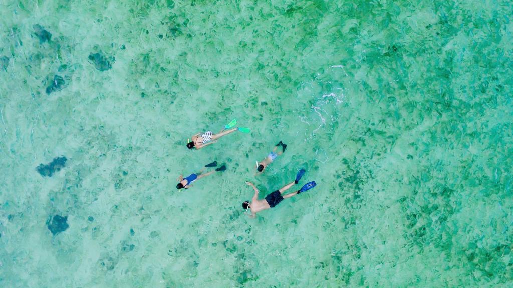 Snorkelling