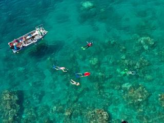 Snorkelling