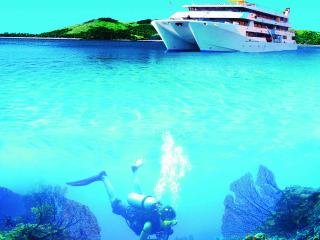 Diving
