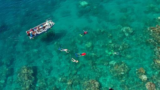 Snorkelling