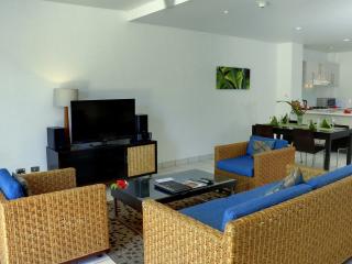 2 & 3 Bedroom Apartment Living