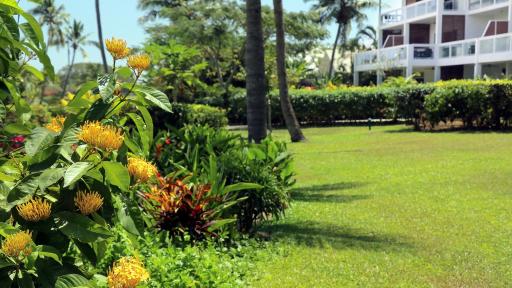 Gardens