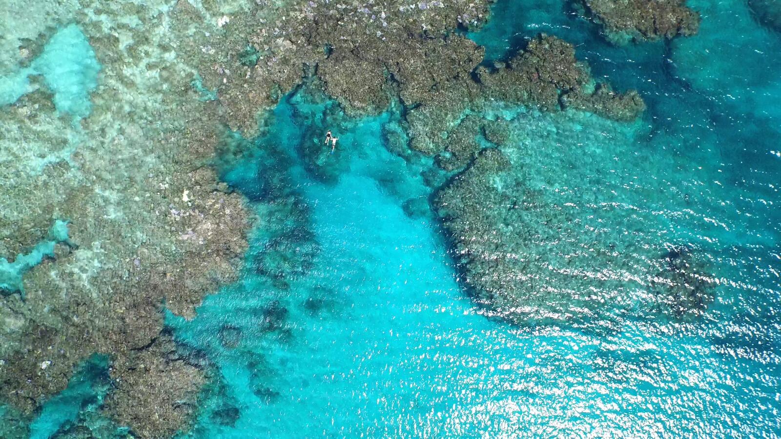 Aerial of Snorkelling