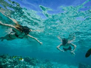 Snorkelling