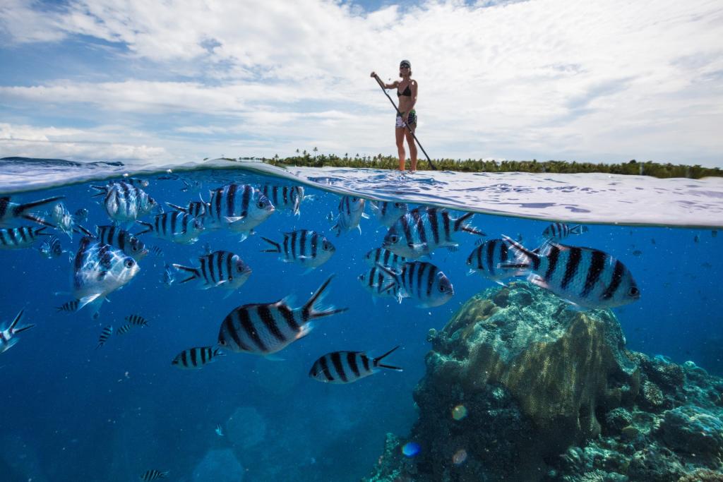 Bounty Island Fiji Reviews Bounty Island Fiji Reviews