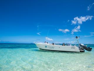 Dive Boat