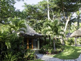 Island Bure