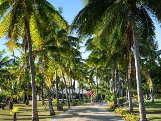Coconut Avenue