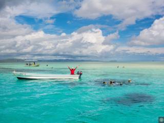 Snorkelling