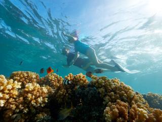 Snorkelling