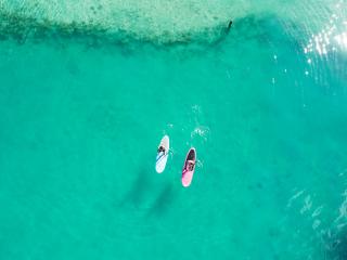 Stand Up Paddle Boards