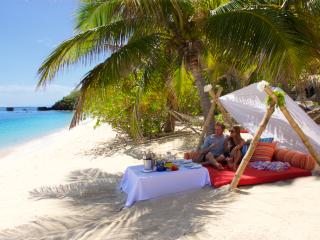 Private Beach Picnic