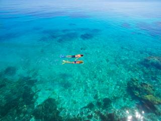 Snorkelling