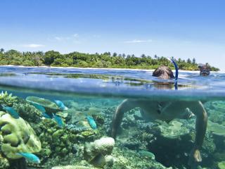 Snorkelling