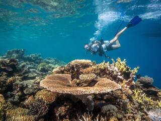 Captain Cook Cruises - Island and Reef Day Sail