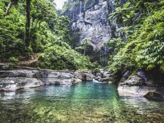 Waterfall Tour