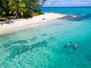 Snorkelling