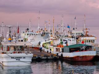 Suva, Fiji, Harbour, Suva Harbour