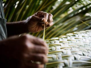 Basket Weaving