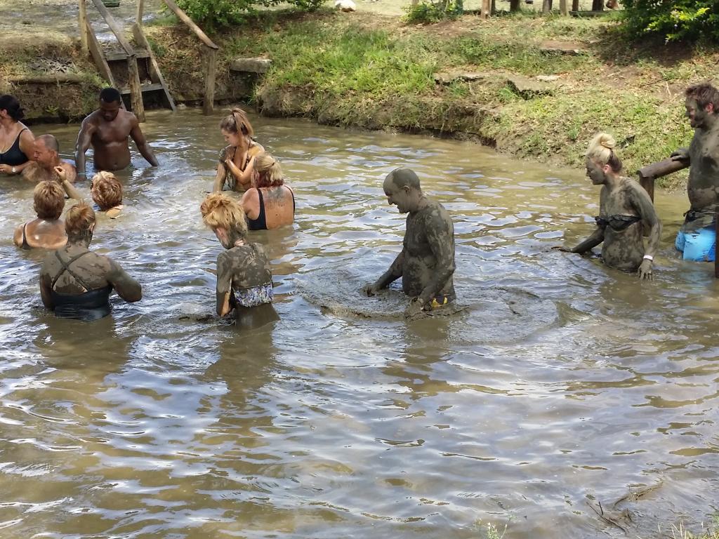Thermal Mud Pool & Waterfall Tour, Fiji