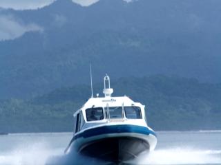 hopping charter island mamanuca express