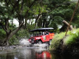 Off-Road Cave Driving through Streams