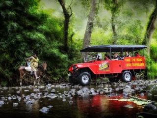 Off-Road Cave - Local & lush scenery