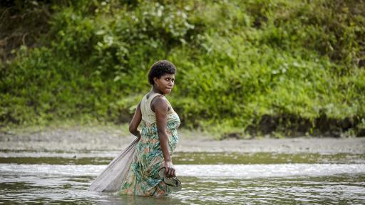 Sigatoka River Safari Fishing