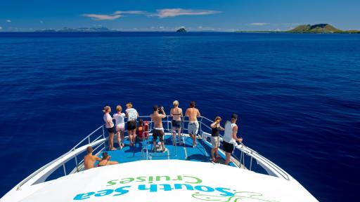 Malolo Island Fiji Full Day Cruise