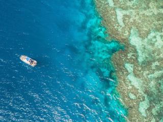 Aerial View of the Reef