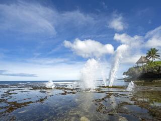 Blowhole