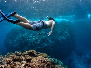 Snorkelling