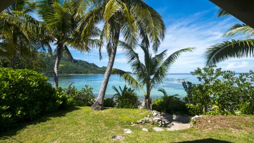 Beachfront Safari Bure Views