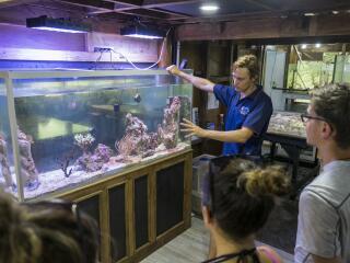 Marine Biology Tour