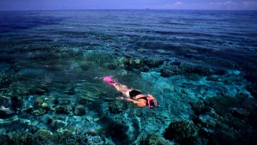 Snorkelling