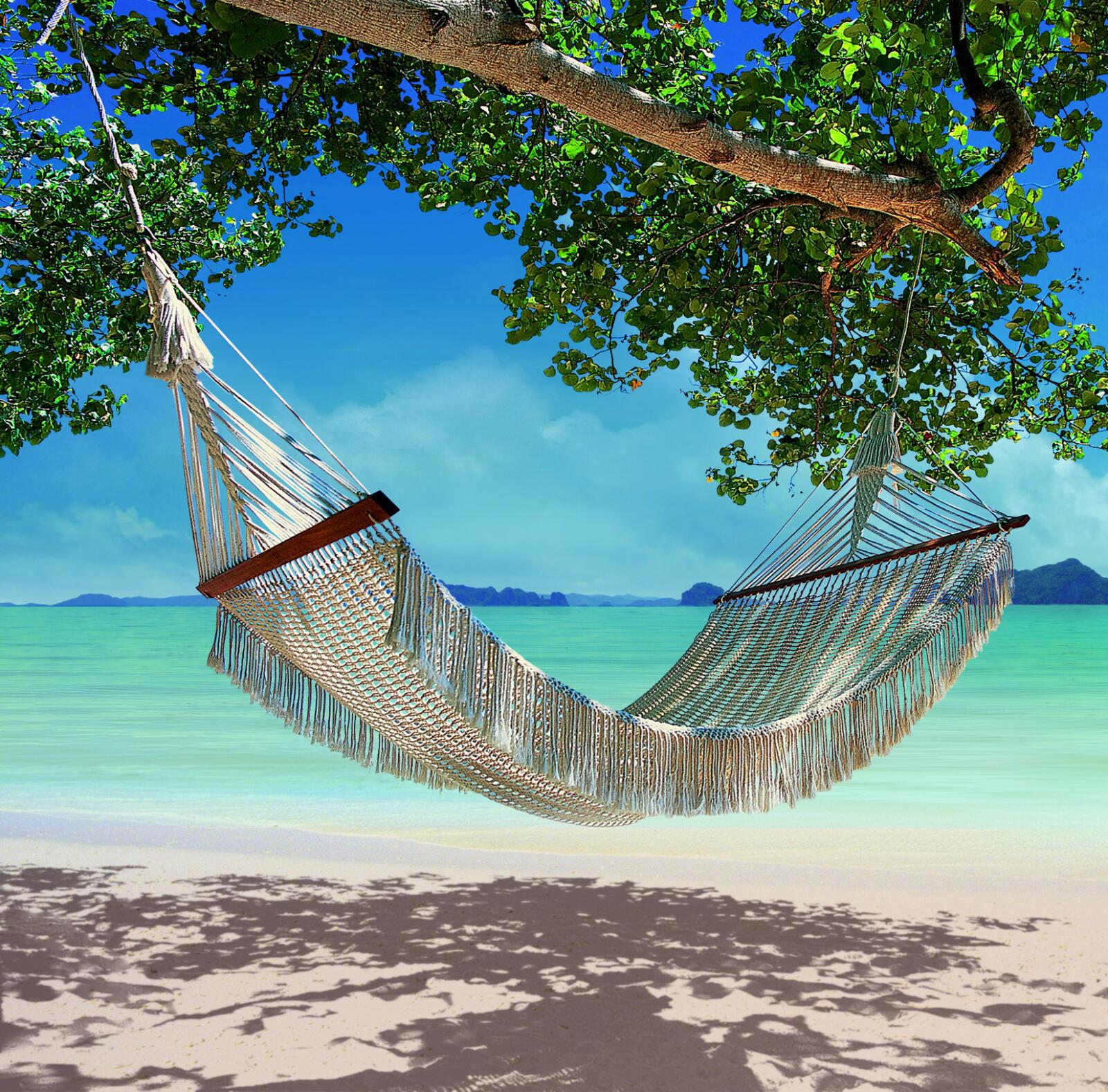 Hammock on the beach