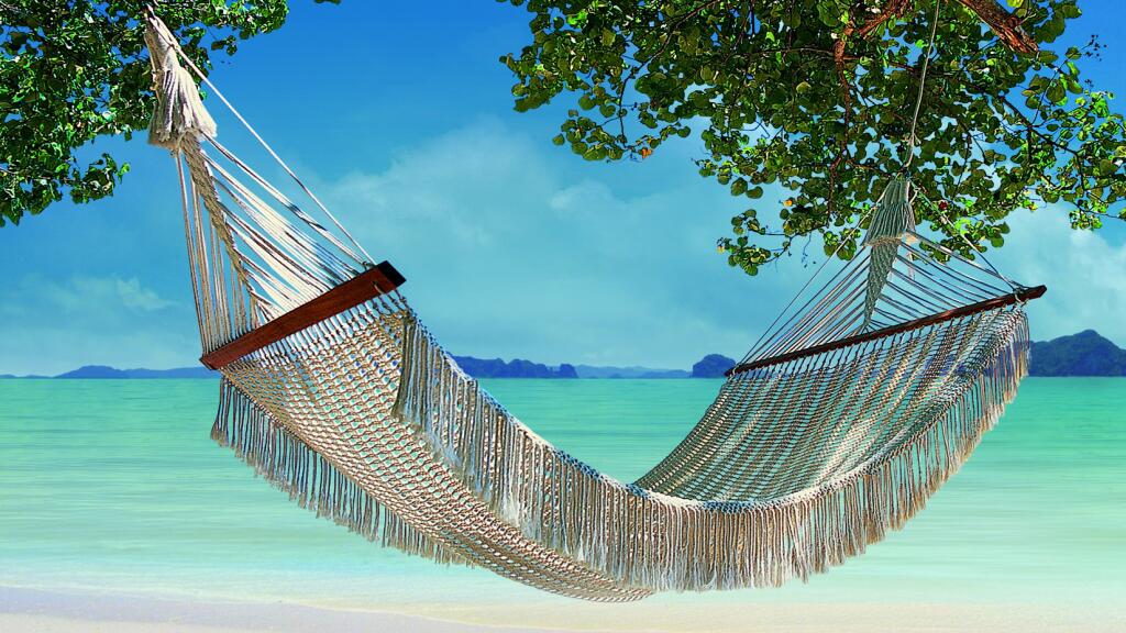 Hammock on the beach