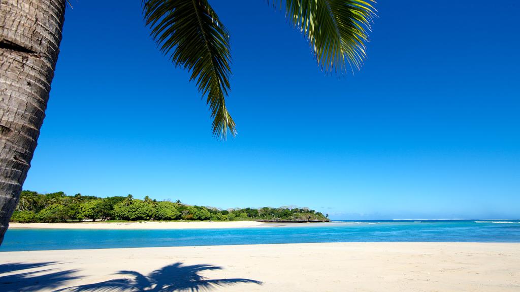 Fiji Beach