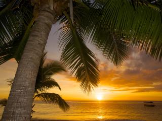 flights international cheap