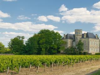 Chateau And Vineyard In Margaux, Bordeaux, France