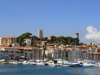 Harbour And Marina At Cannes
