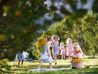 Canungra Valley Vineyard - Picnic