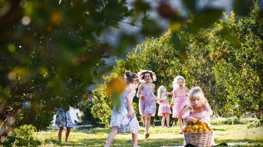 Canungra Valley Vineyard - Picnic