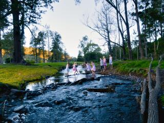 Canungra Valley Vineyards - Creek