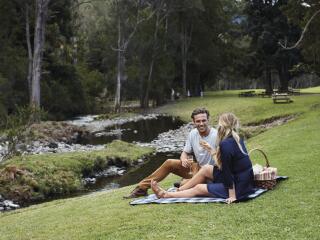 Canungra Valley Vineyards - Picnic