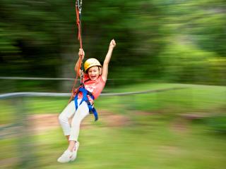 Flying Fox